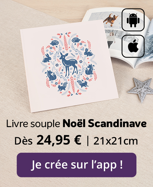 Livre souple édition Noel scandinave